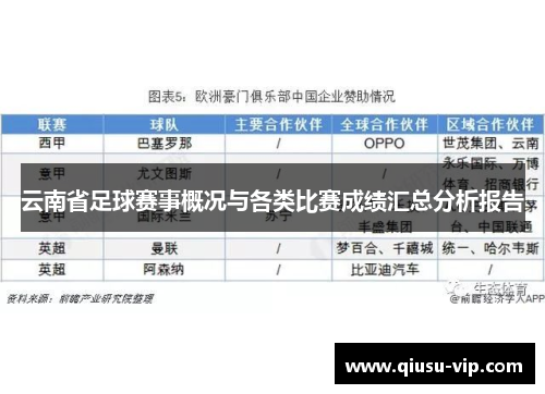 云南省足球赛事概况与各类比赛成绩汇总分析报告