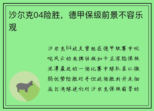 沙尔克04险胜，德甲保级前景不容乐观