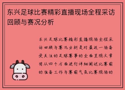东兴足球比赛精彩直播现场全程采访回顾与赛况分析